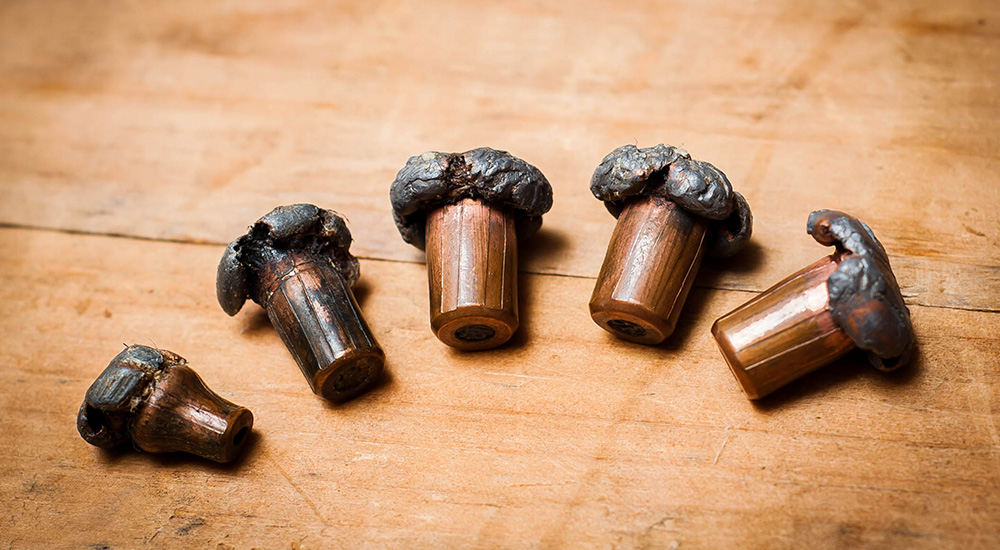 Several Swift A-Frame bullets recovered from African game animals.