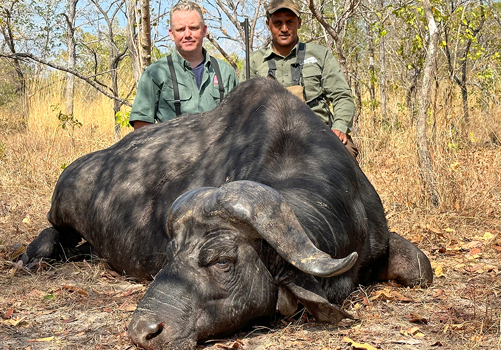 Male hunters with Cape buffalo bull.