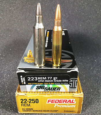 22-25 Remington and 223 Remington Ammunition Side by Side