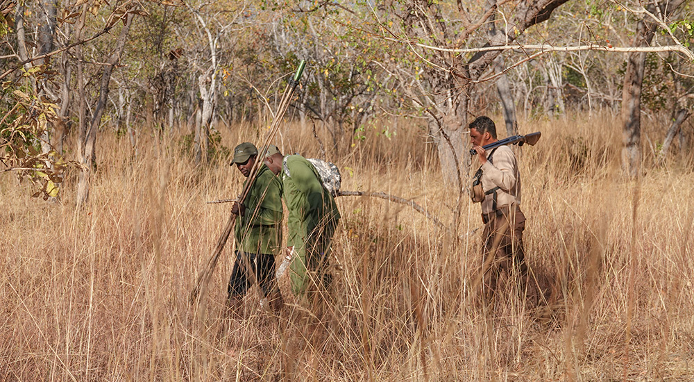 Trackers in Tanzania field.
