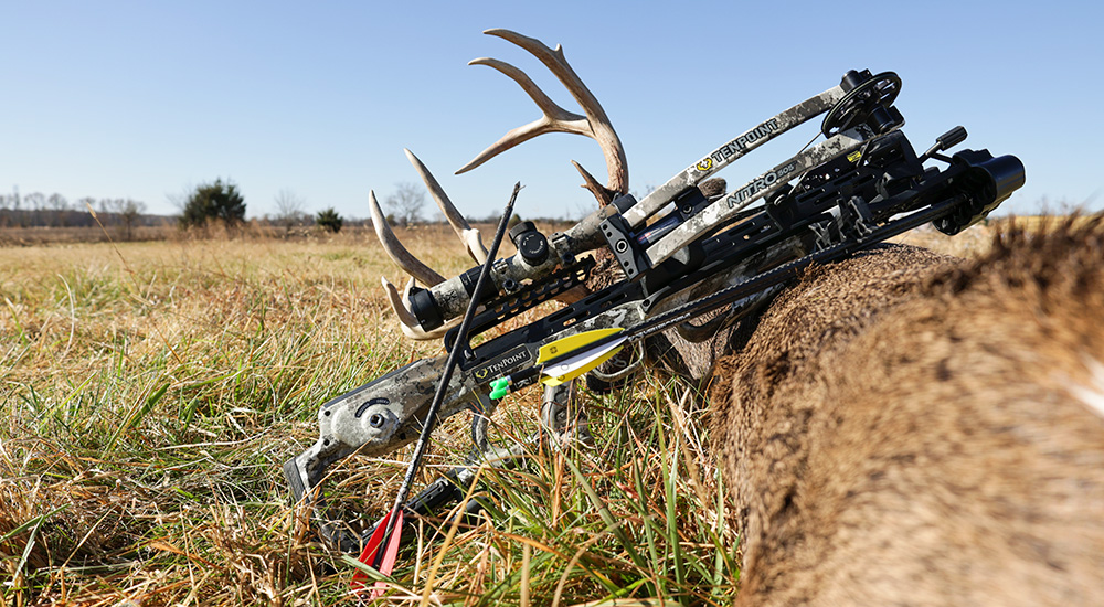 TenPoint Nitro 505 crossbow leaning against whitetail deer in field.