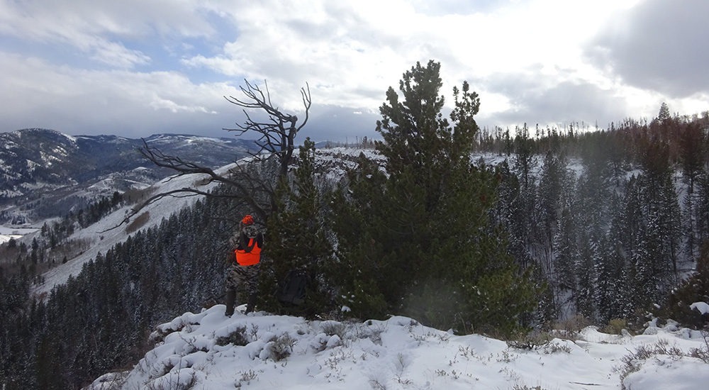 Male hunter standing at top of a mountain wearing camouflage and bright orange vest.
