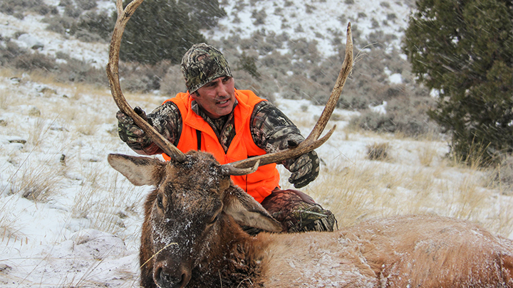 Hunter with Bull Elk in Snow