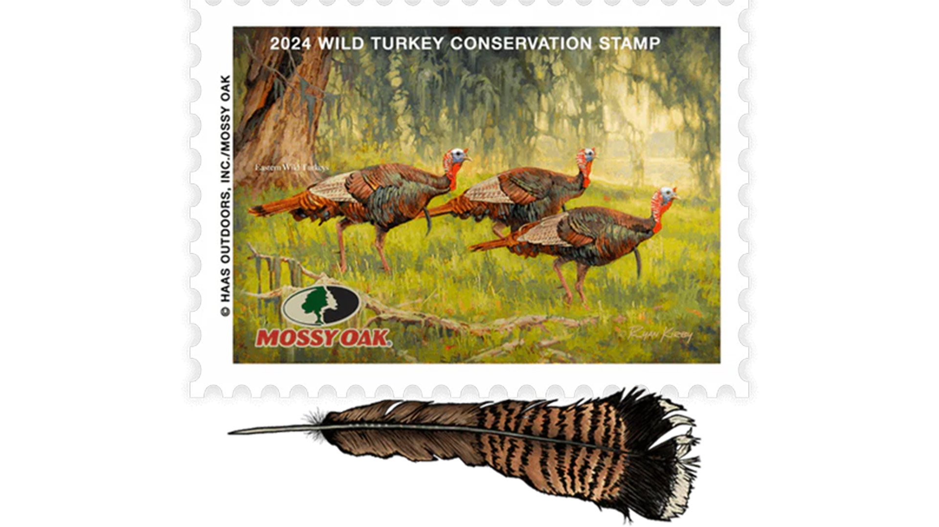 2024 Wild Turkey Conservation Stamp