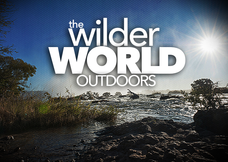 wilder_ah2015_fs.jpg (18)