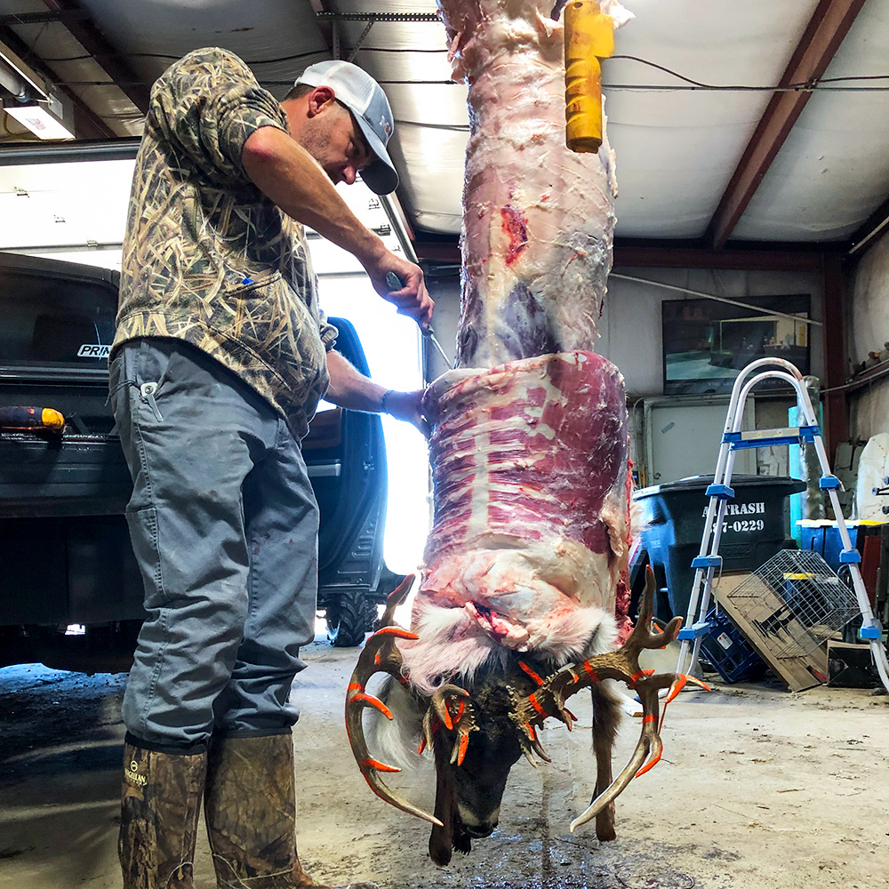Young male skinning hanging whitetail deer for processing.