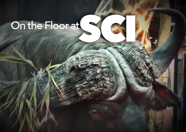 sci_ah2015_fs.jpg (4)