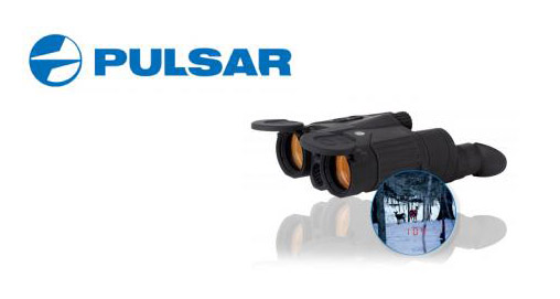 20121127103532-pulsar_expert_f.jpg