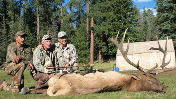 201046133213-az-whopper-bull_m.jpg