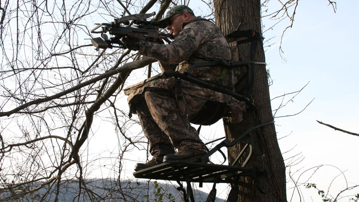 carter-in-treestand.jpg