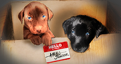 2013213113727-dognames-f.jpg