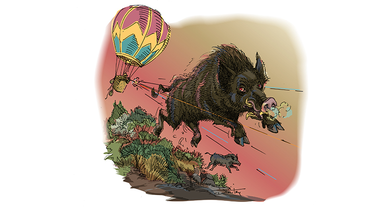 hog_hunting_texas_balloons.jpg