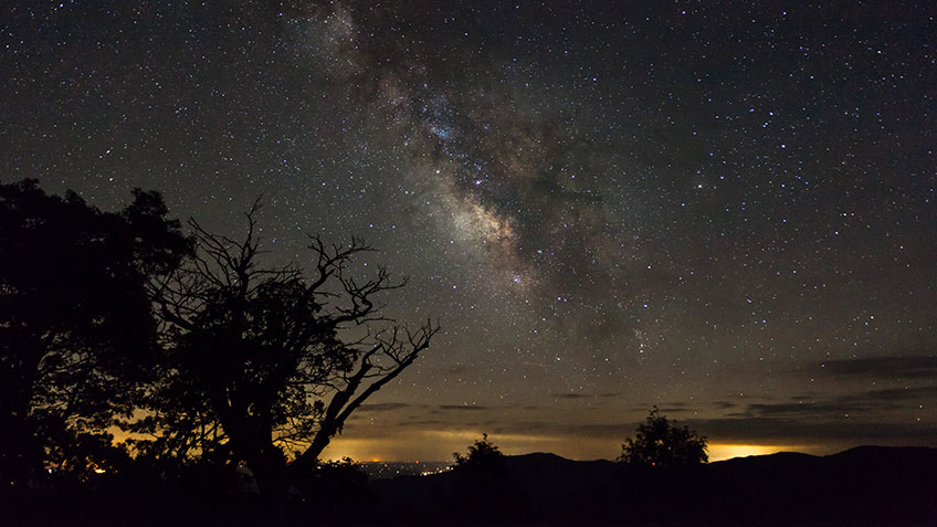 hangtreestand-night_lead.jpg