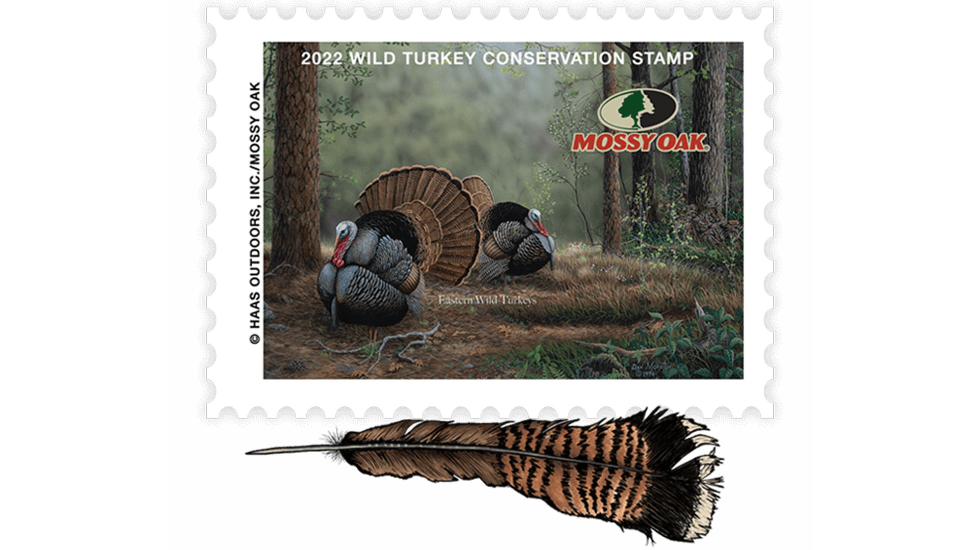 Mainturkeystamp 650X603 1