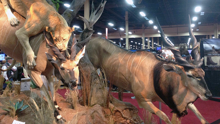 sci_2016_taxidermy_f.jpg