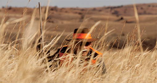 2012926141123-nebraska_whitetail_f.jpg