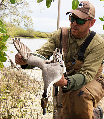 Hunter holding pintail duck