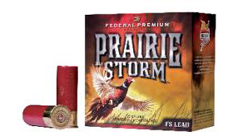 2010915144228-storm_m.jpg