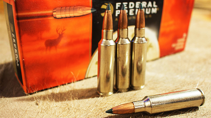 Federal .300 Winchester Short Magnum 180-grain Trophy Copper Ammunition