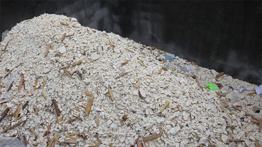 crushed_ivory_f.jpg