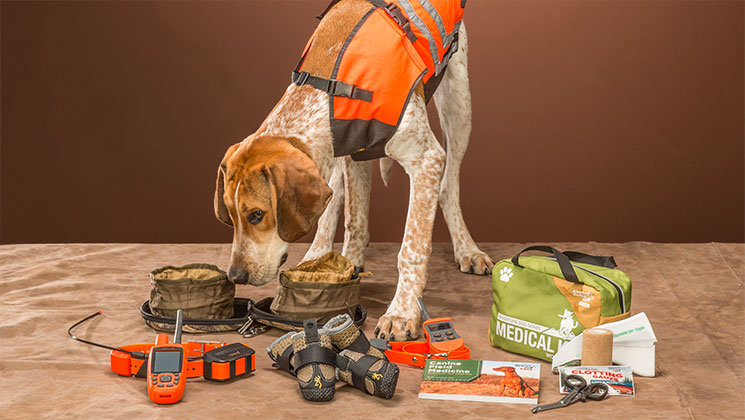 fielddoggear_lead.jpg