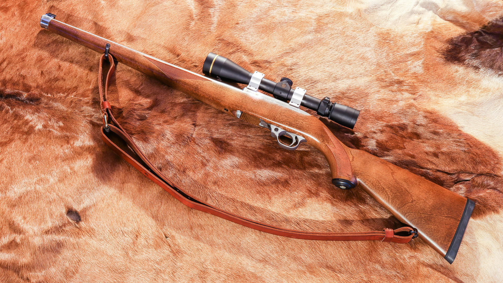 Ruger 1022 Lede Photo