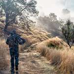 The Umpqua Basin Bonus Lead