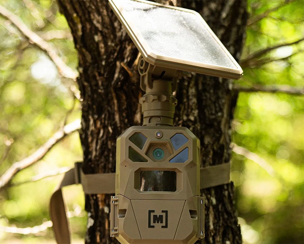 Moultrie Edge Solar trail camera mounted on tree.