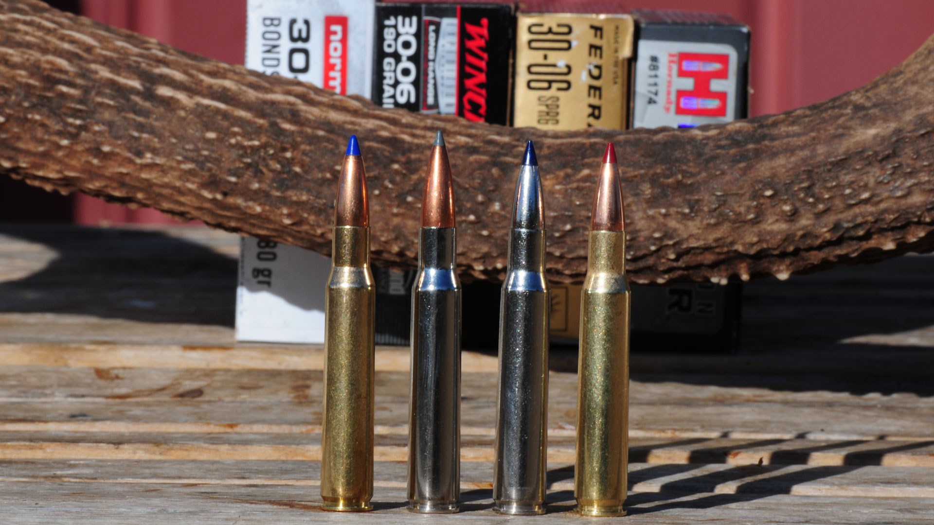 Cartridges in front of antler and ammo boxes