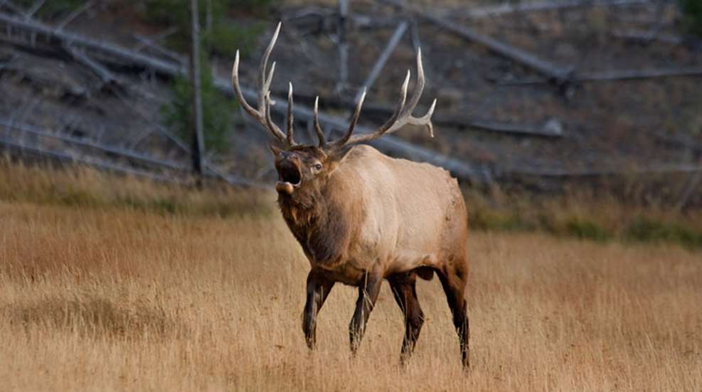 wyoming2.jpg