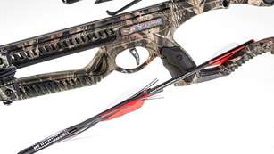 crossbows_robin_hood_f.jpg
