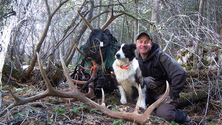 Man shed antler hunting with dog