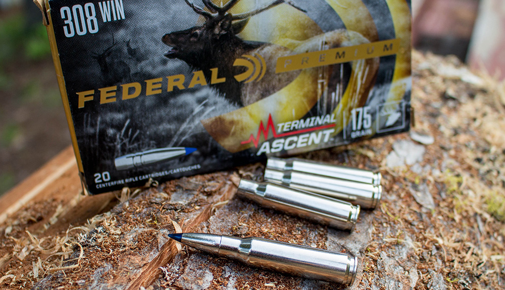 Federal Premium .308 Winchester Terminal Ascent ammunition laying on dirt.