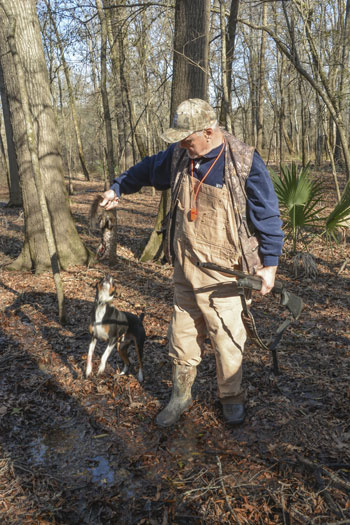Ringo answers to Scooter Culpepper as his owner and hunts with the Delta man. Max, further above, is the namesake of the gladiator of motion picture fame.