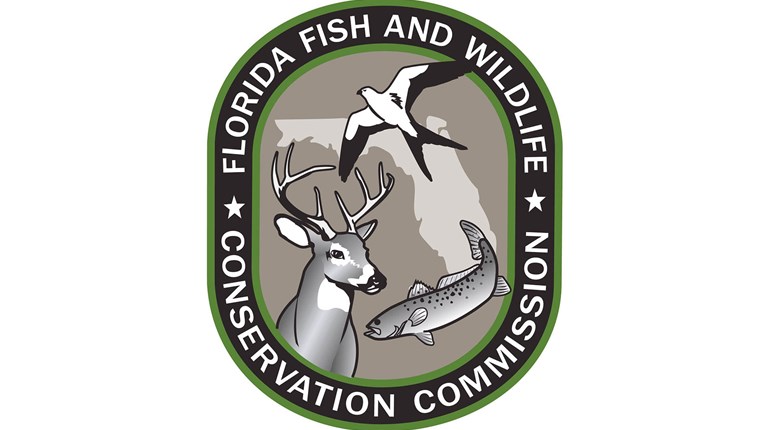 52 Bears Harvested in Florida Season | An Official Journal Of The NRA