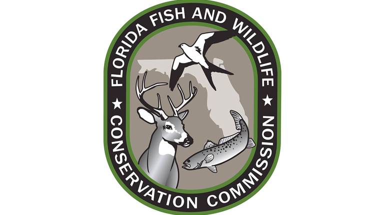 52 Bears Harvested in Florida Season | An Official Journal Of The NRA