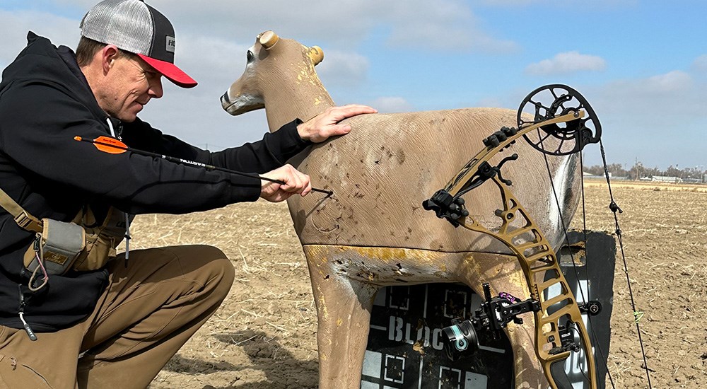 Male pulling arrow out of whitetail deer target.