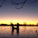 Sunrise Decoy Set