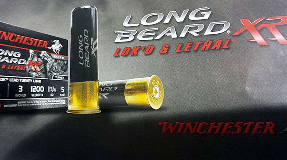 winchester_long_beard_new_2016_f.jpg
