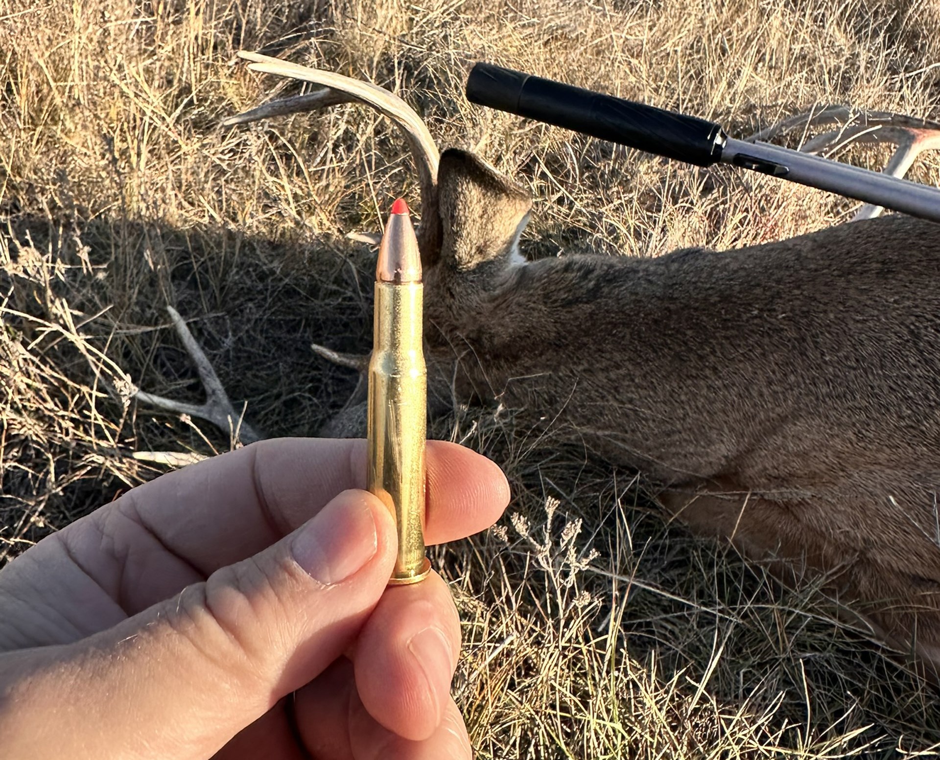 Ammo