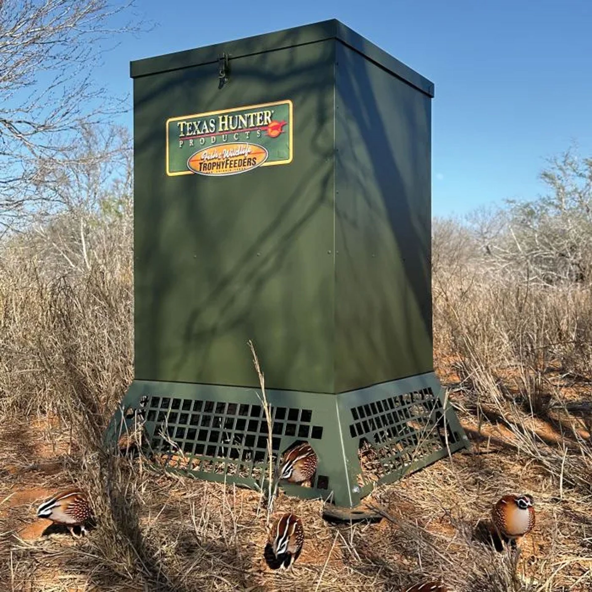 Trophy Quail Feeder