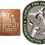 LEDE FWC Recovers 37 Stolen Gold Coins From 1715 Fleet Shipwrecks