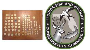 LEDE FWC Recovers 37 Stolen Gold Coins From 1715 Fleet Shipwrecks