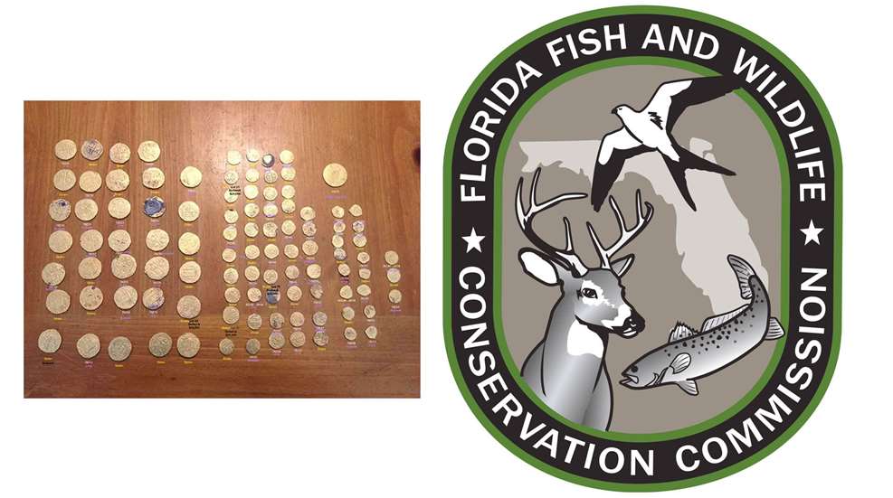 LEDE FWC Recovers 37 Stolen Gold Coins From 1715 Fleet Shipwrecks