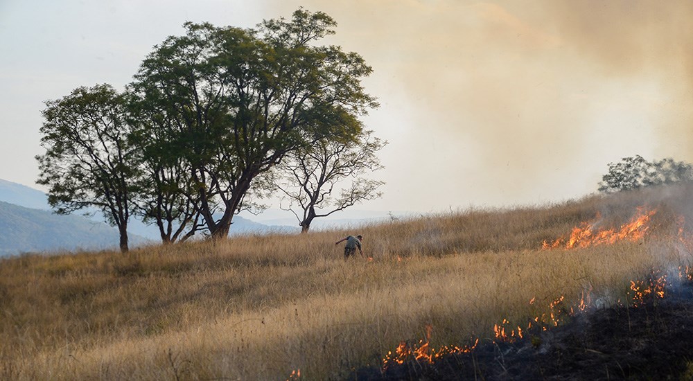 Controlled burn in Umkomaas Valley Conservancy South Africa.