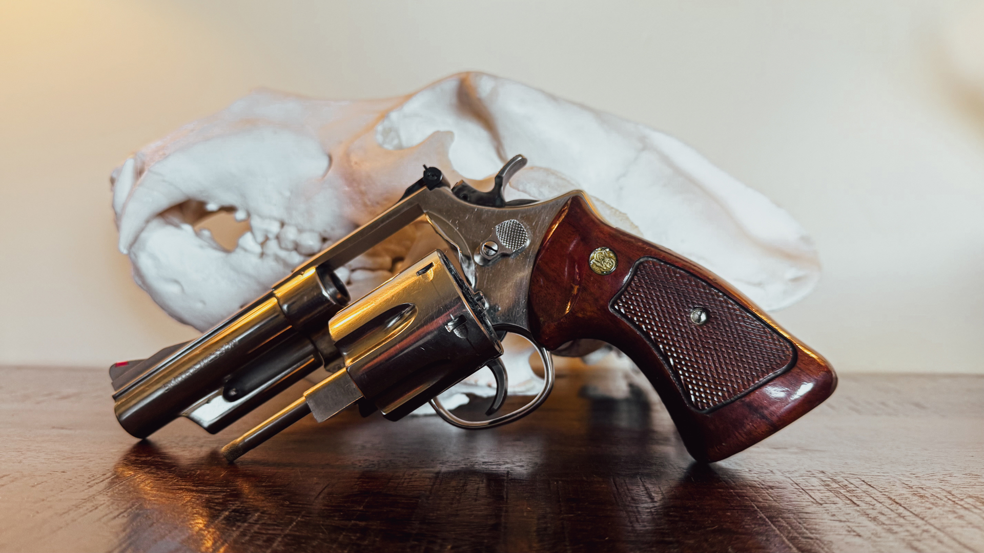 S&W Model 29 In 44 Mag