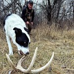 Know How: Shed Hunting Hellholes | An Official Journal Of The NRA