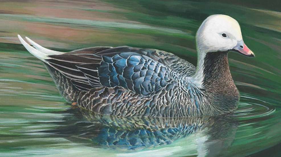 2018jrduckstamp_lead.jpg