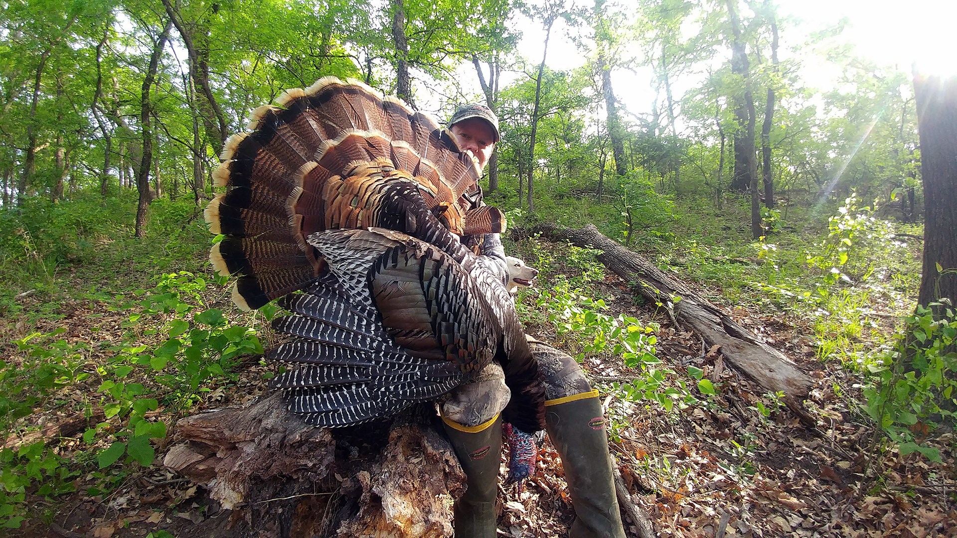 Hunter with turkey