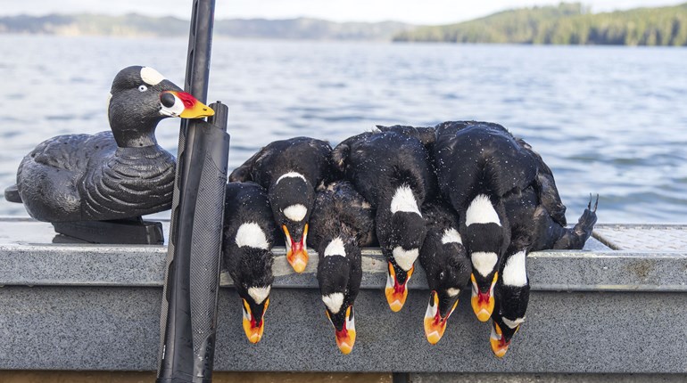 A Deep Dive into Late-Season Divers | An Official Journal Of The NRA